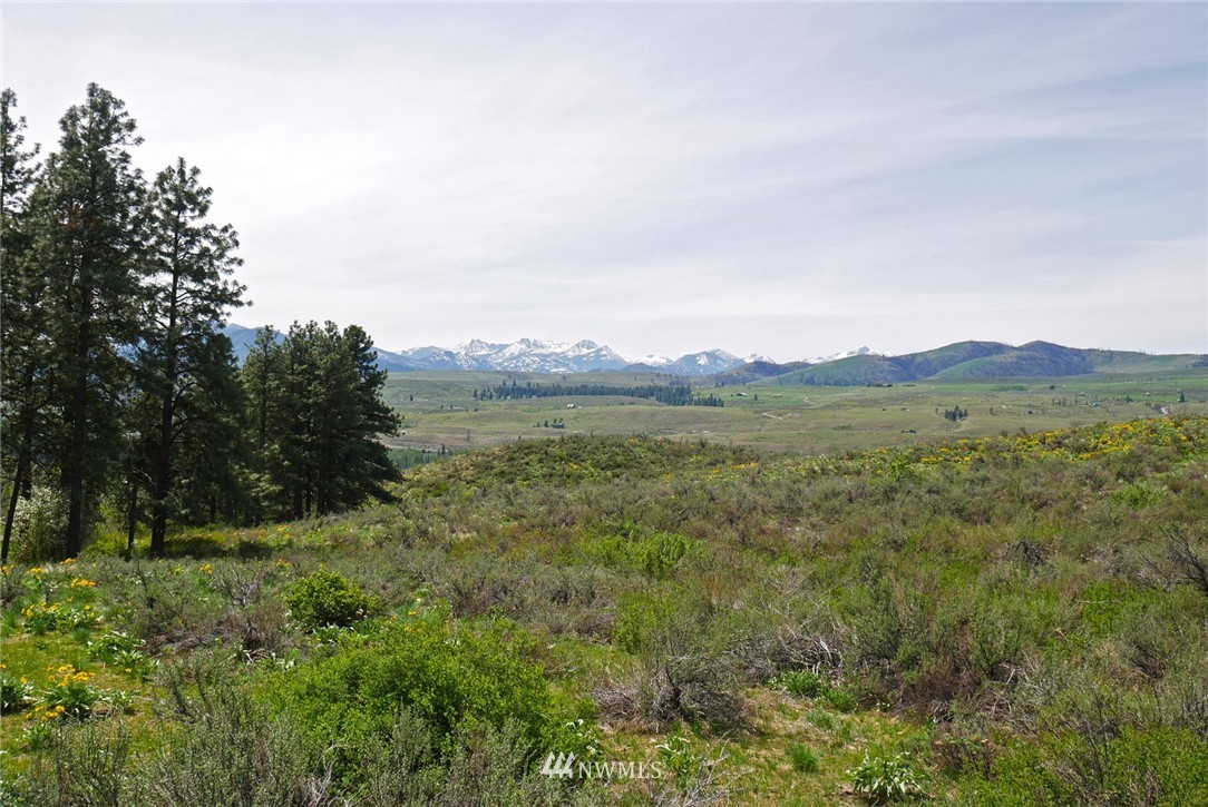 68 Harrier Hill Road Winthrop, WA 98862 - Photo 26 of 39 Gallery Image 26