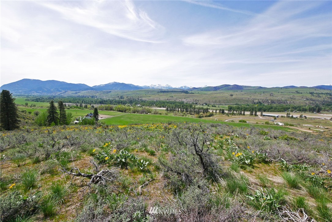 68 Harrier Hill Road Winthrop, WA 98862 - Photo 28 of 39 Gallery Image 28