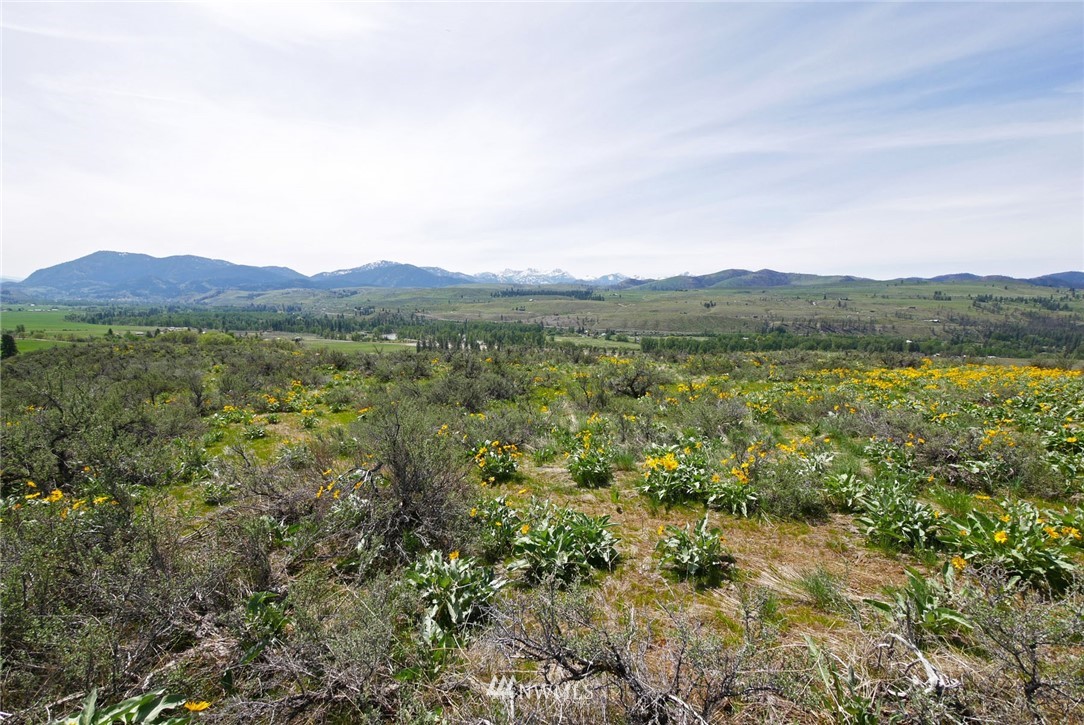 68 Harrier Hill Road Winthrop, WA 98862 - Photo 29 of 39 Gallery Image 29