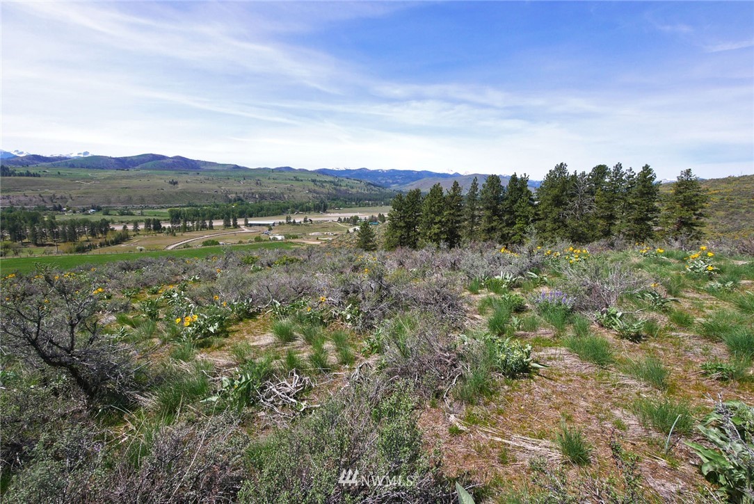 68 Harrier Hill Road Winthrop, WA 98862 - Photo 32 of 39 Gallery Image 32