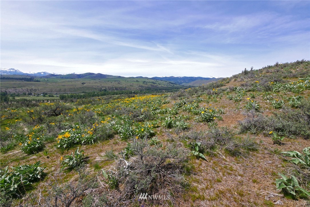 68 Harrier Hill Road Winthrop, WA 98862 - Photo 37 of 39 Gallery Image 37