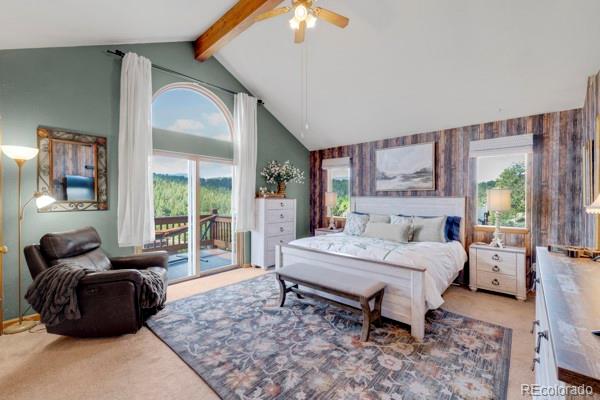 182 Spruce Trail Bailey, CO 80421 - Photo 16 of 34
