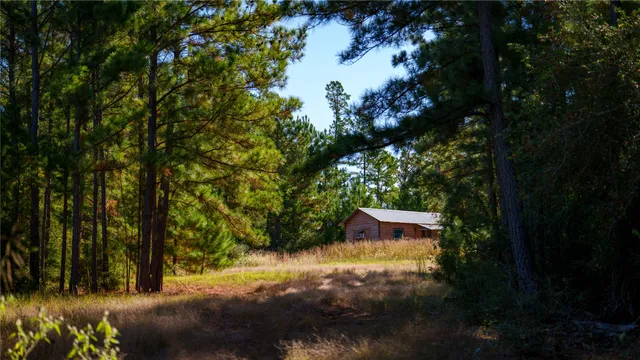a view of outdoor space and yard