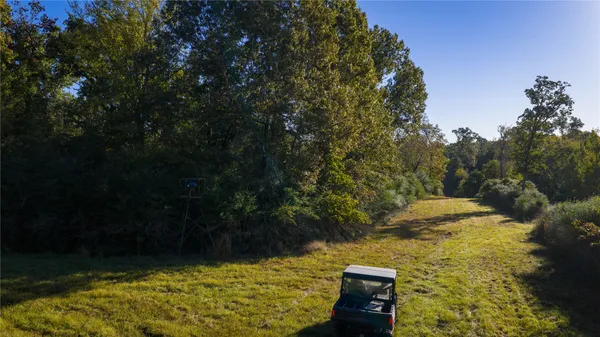 a view of a yard