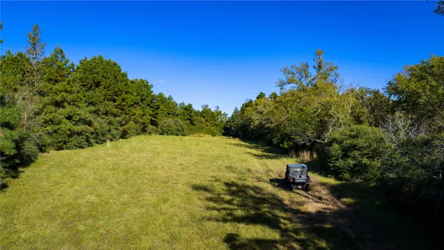 a view of yard with green space