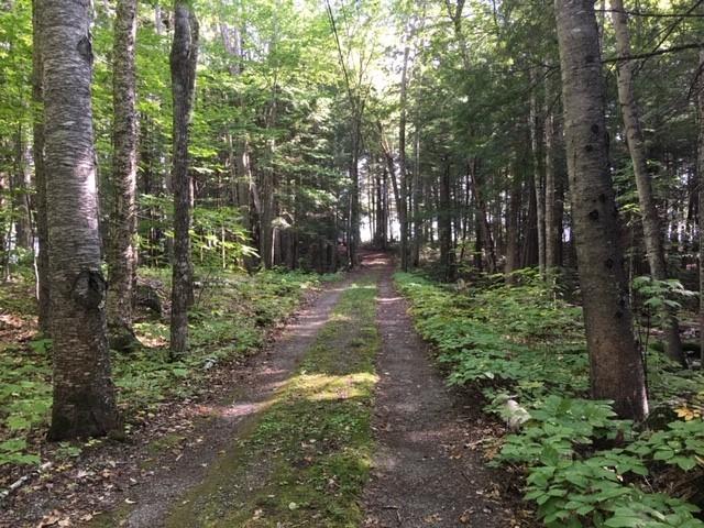 294 Timber Point Road Belgrade, ME 04917 - Photo 25 of 46 Timber 19