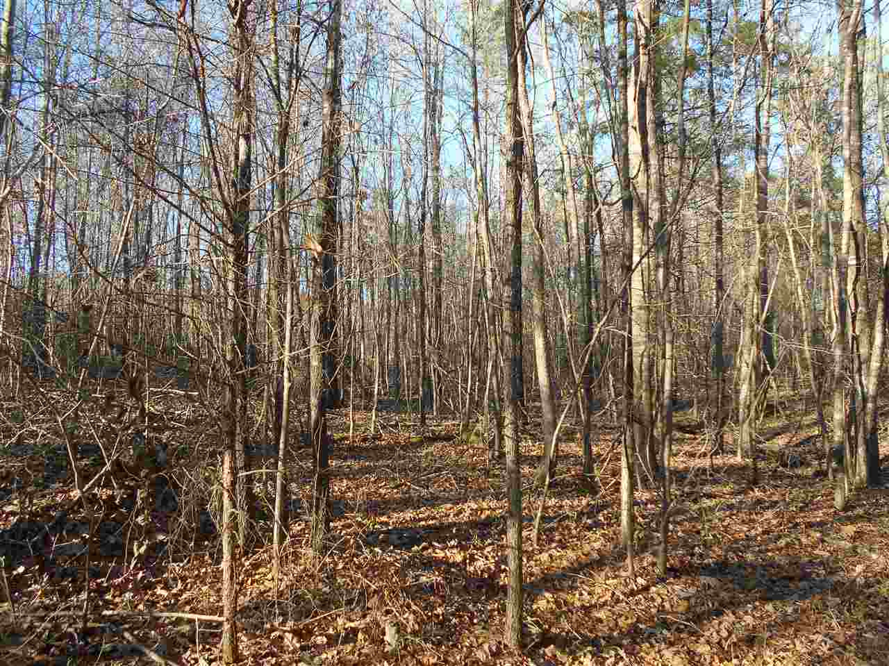 207 Carter Road Coffeeville, MS 38922 - Photo 14 of 27 Photo 14