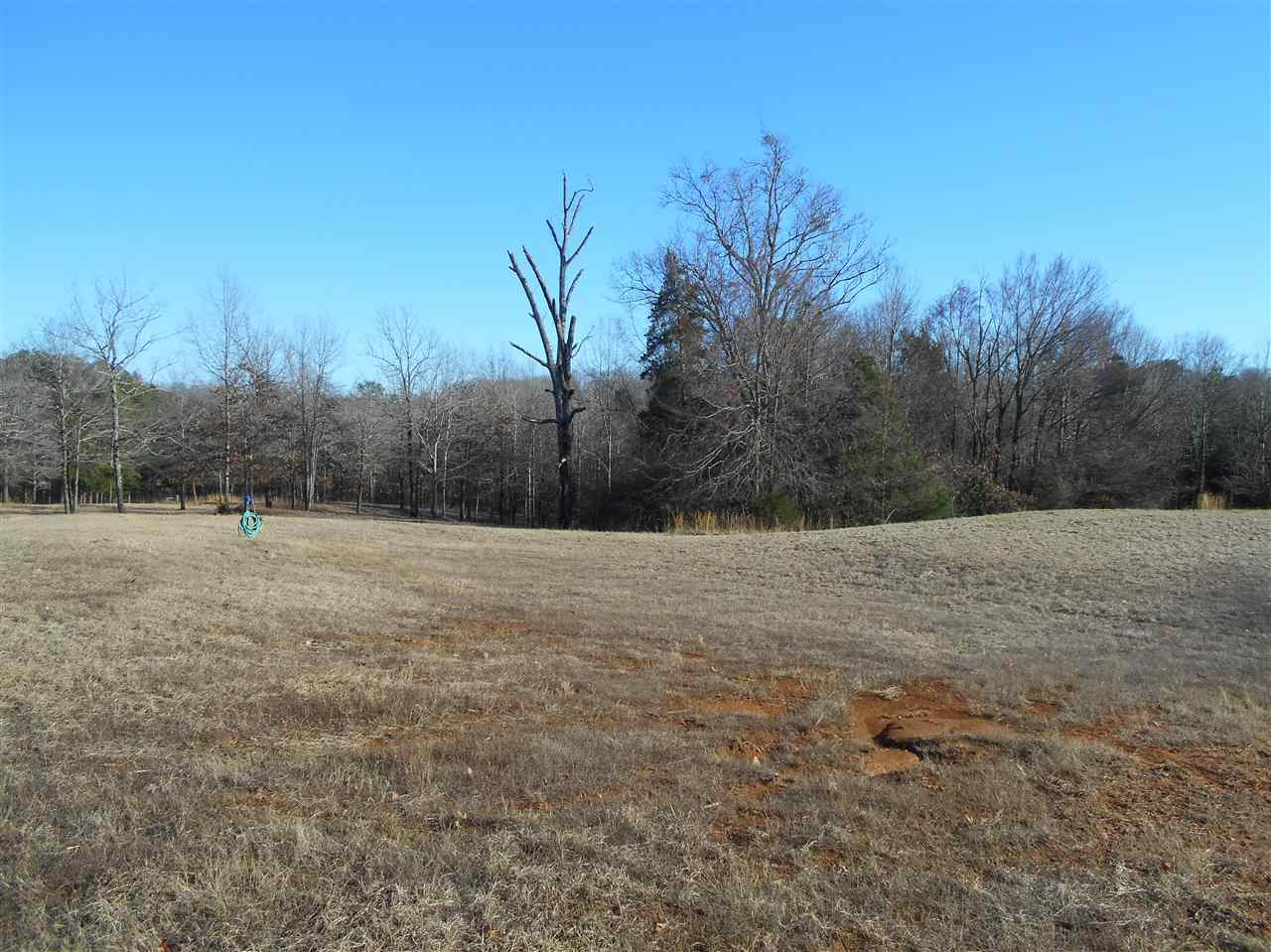 207 Carter Road Coffeeville, MS 38922 - Photo 4 of 27 Photo 4