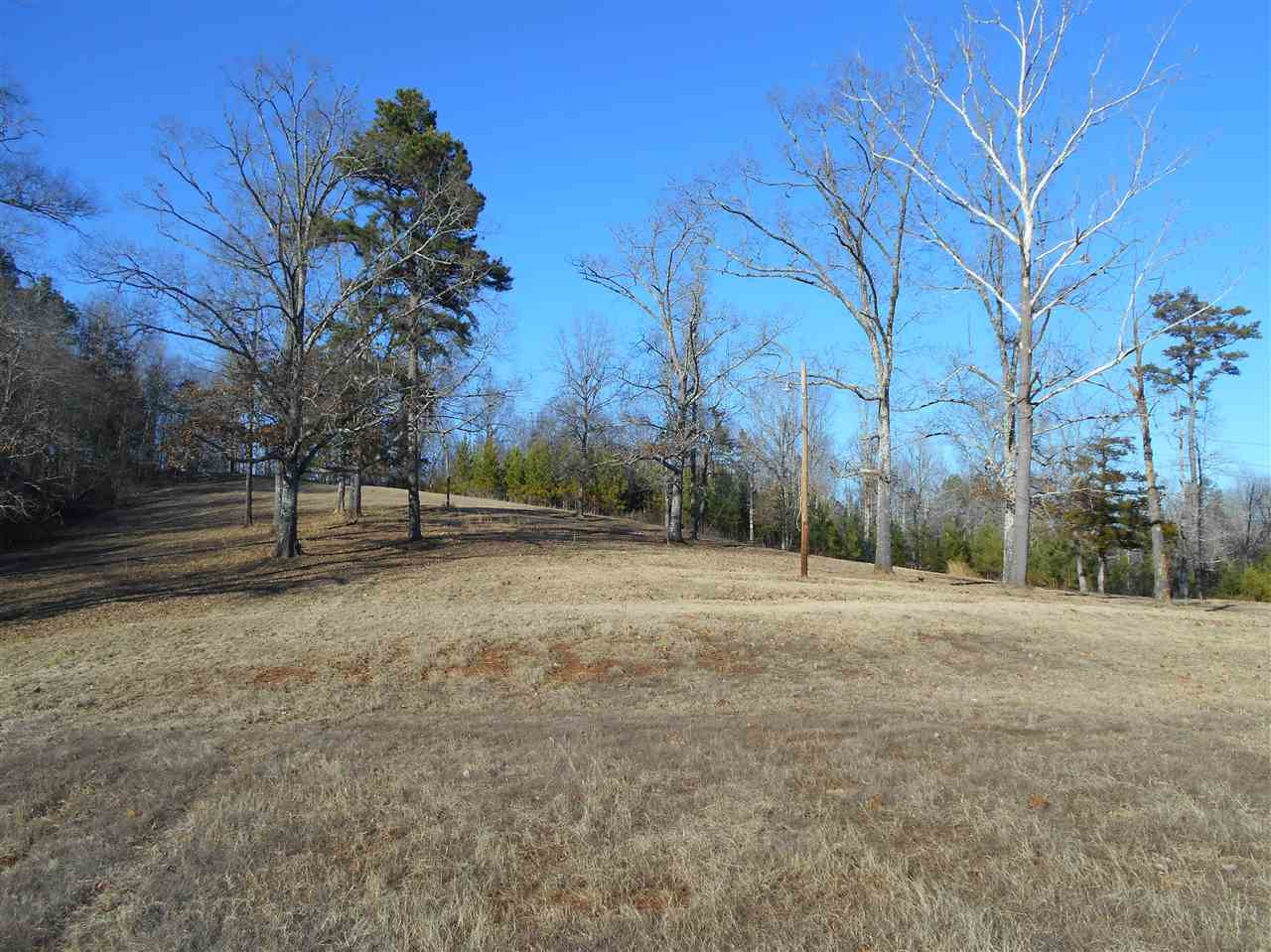 207 Carter Road Coffeeville, MS 38922 - Photo 5 of 27 Photo 5