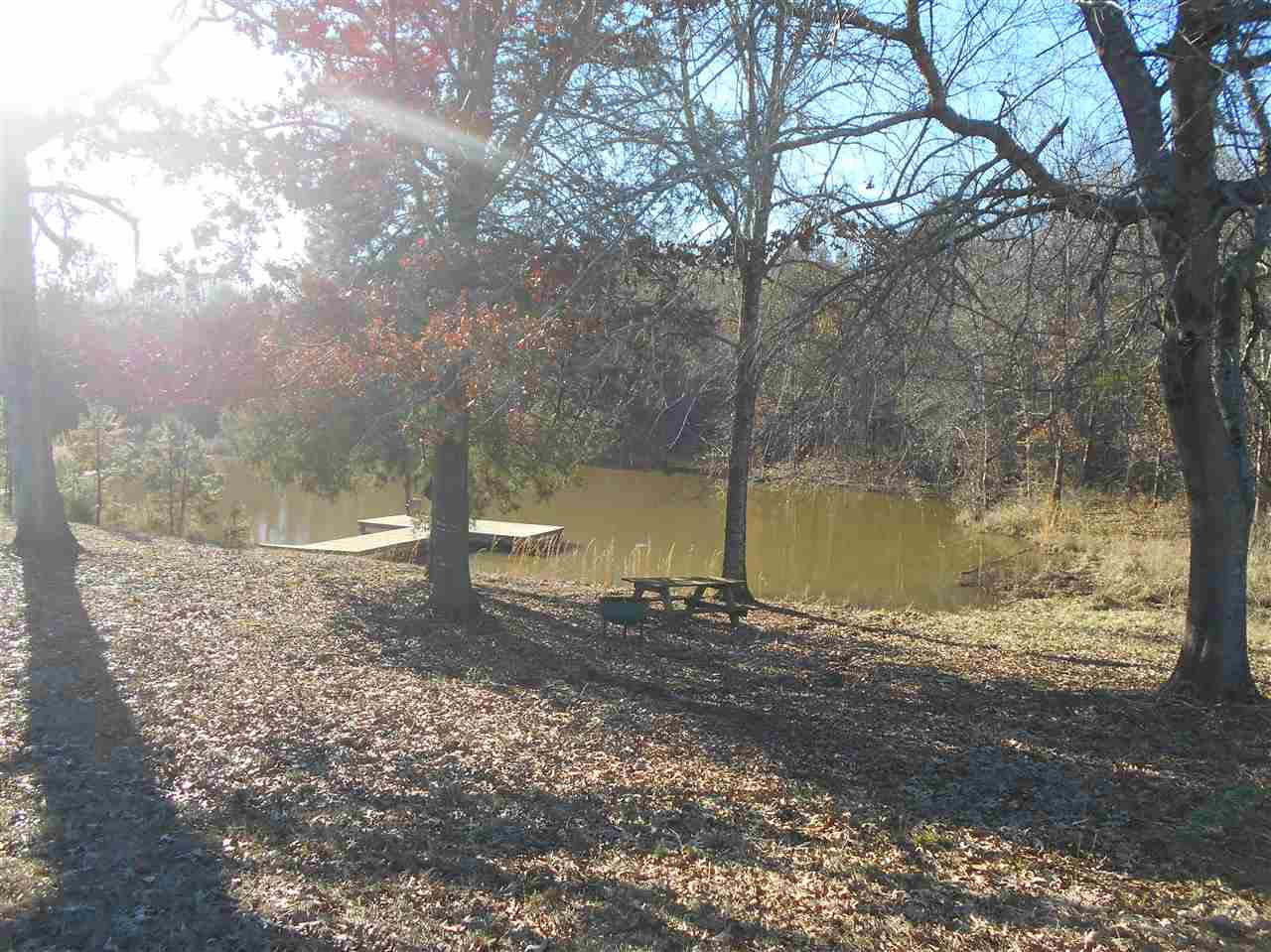 207 Carter Road Coffeeville, MS 38922 - Photo 7 of 27 Photo 7