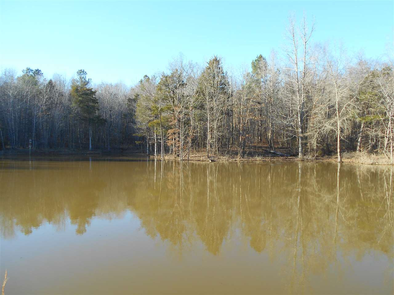 207 Carter Road Coffeeville, MS 38922 - Photo 10 of 27 Photo 10