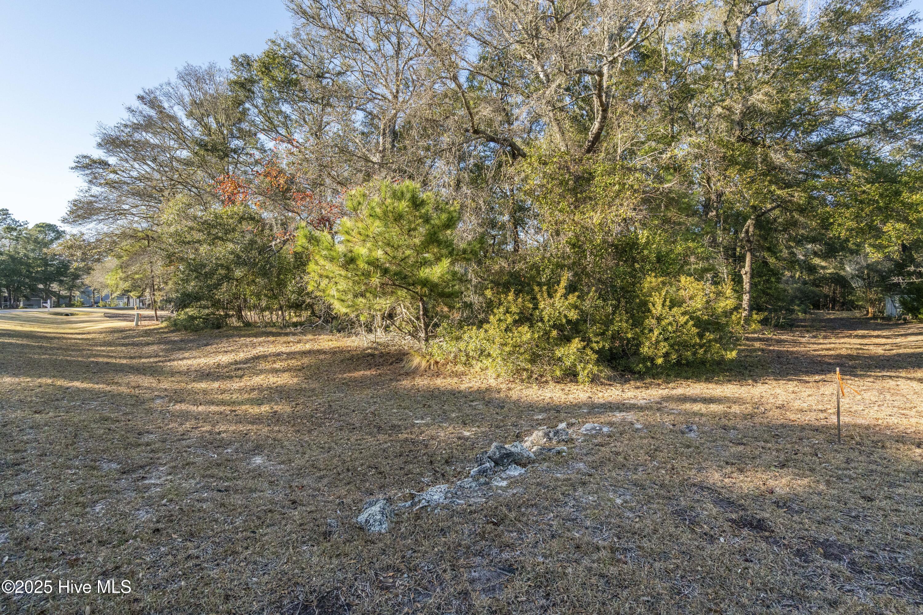 1984 Redfish Run Southwest Supply, NC 28462 - Photo 11 of 34 DSC01698
