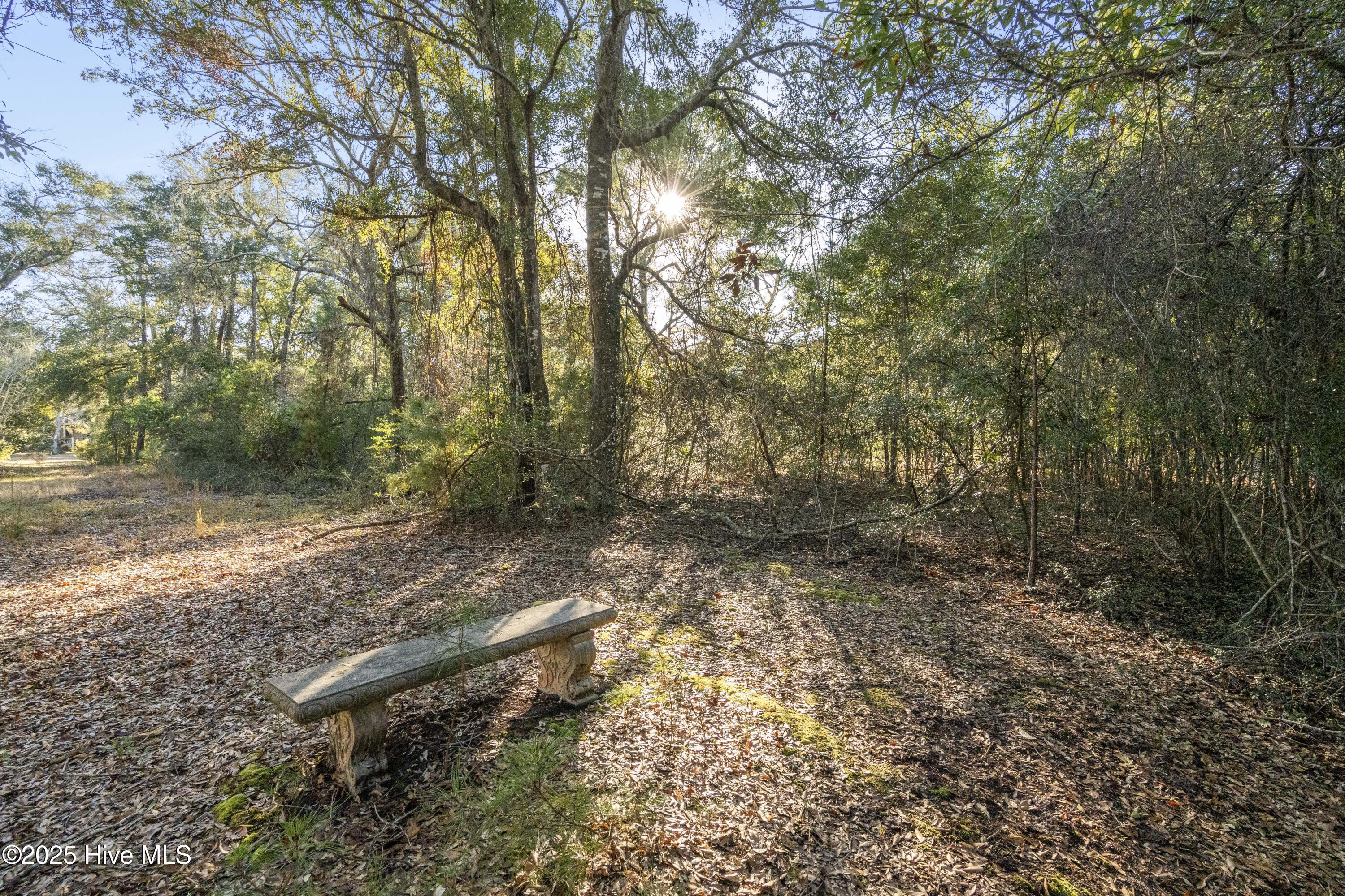1984 Redfish Run Southwest Supply, NC 28462 - Photo 12 of 34 DSC01701