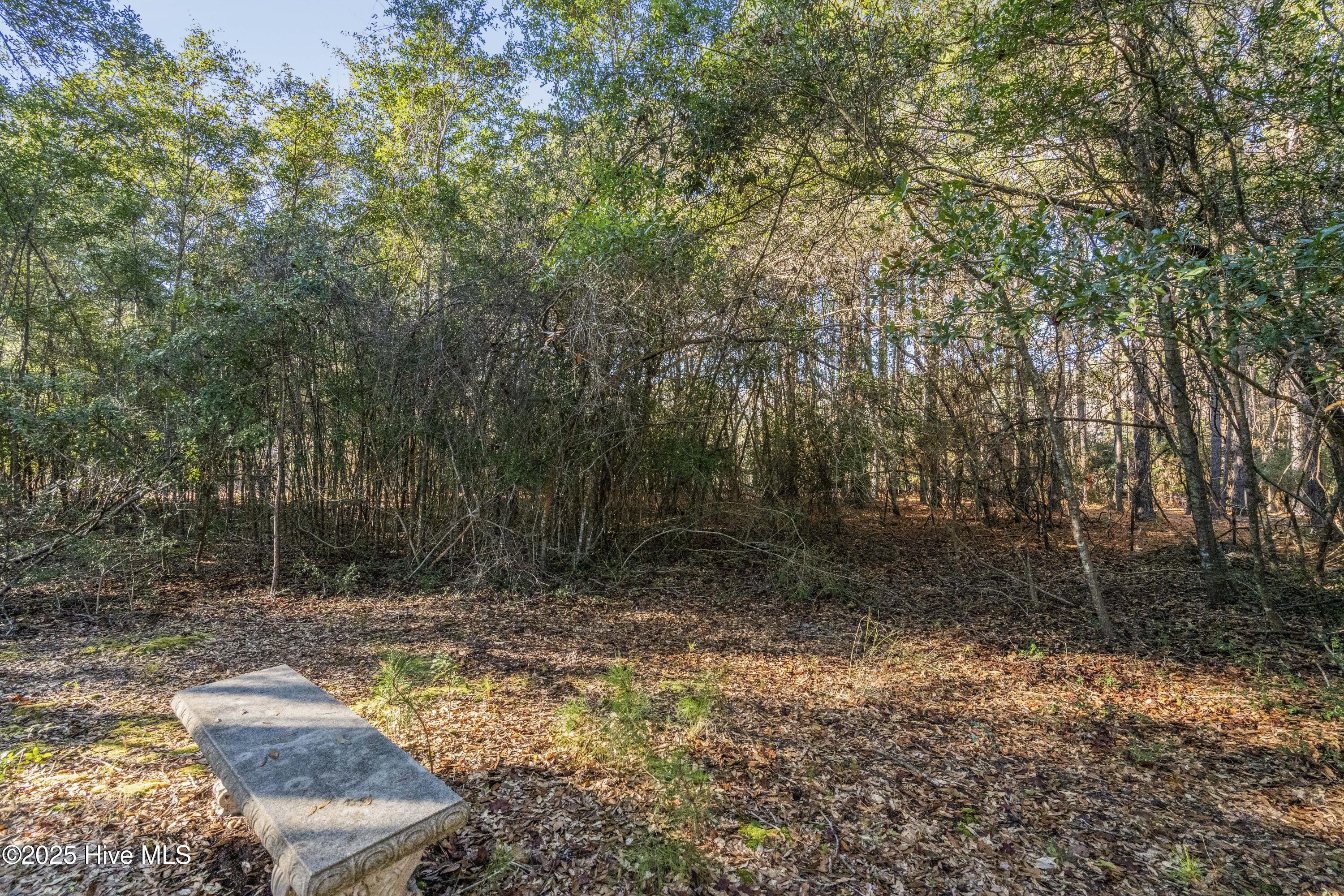 1984 Redfish Run Southwest Supply, NC 28462 - Photo 13 of 34 DSC01715