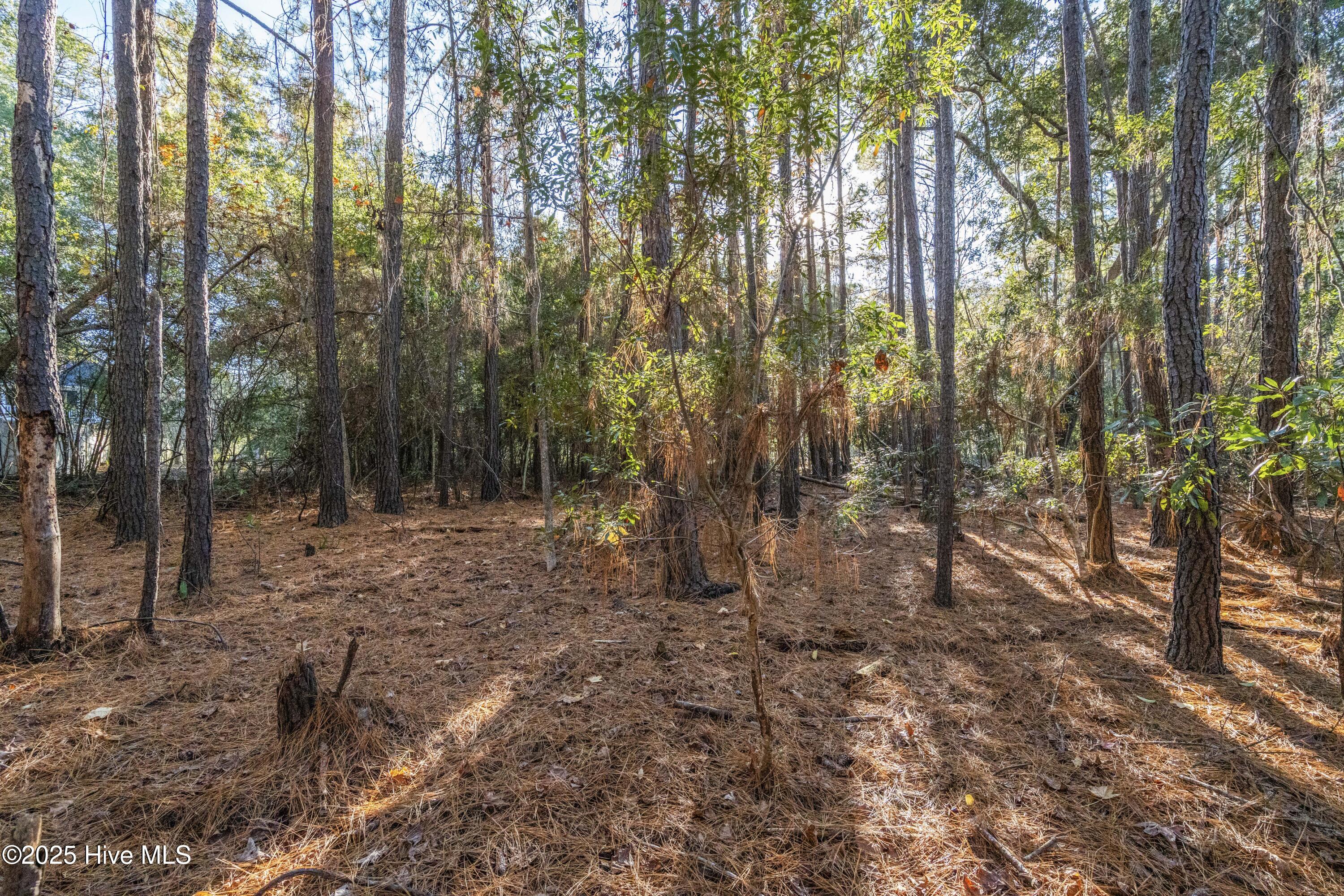 1984 Redfish Run Southwest Supply, NC 28462 - Photo 14 of 34 DSC01718