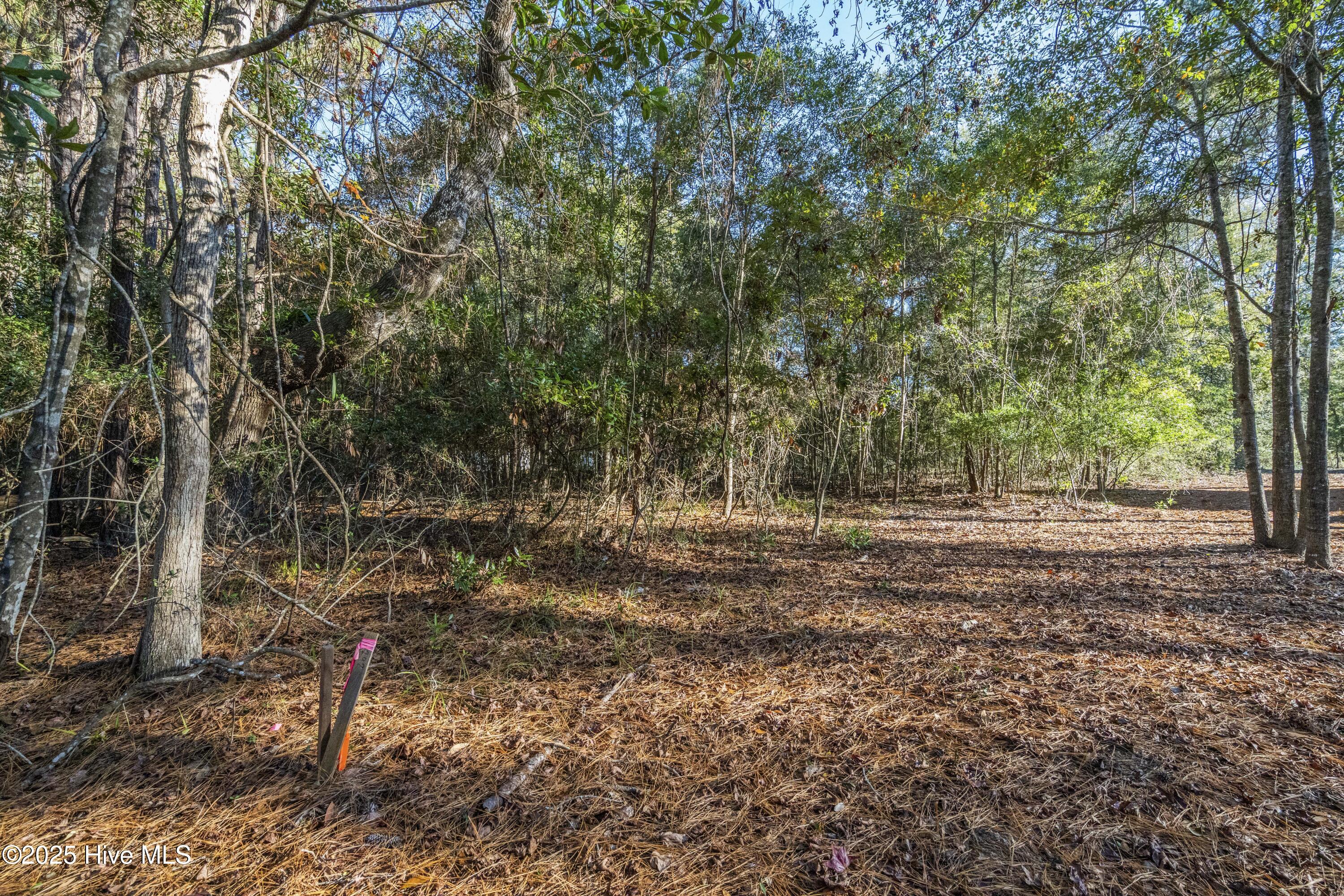 1984 Redfish Run Southwest Supply, NC 28462 - Photo 15 of 34 DSC01727