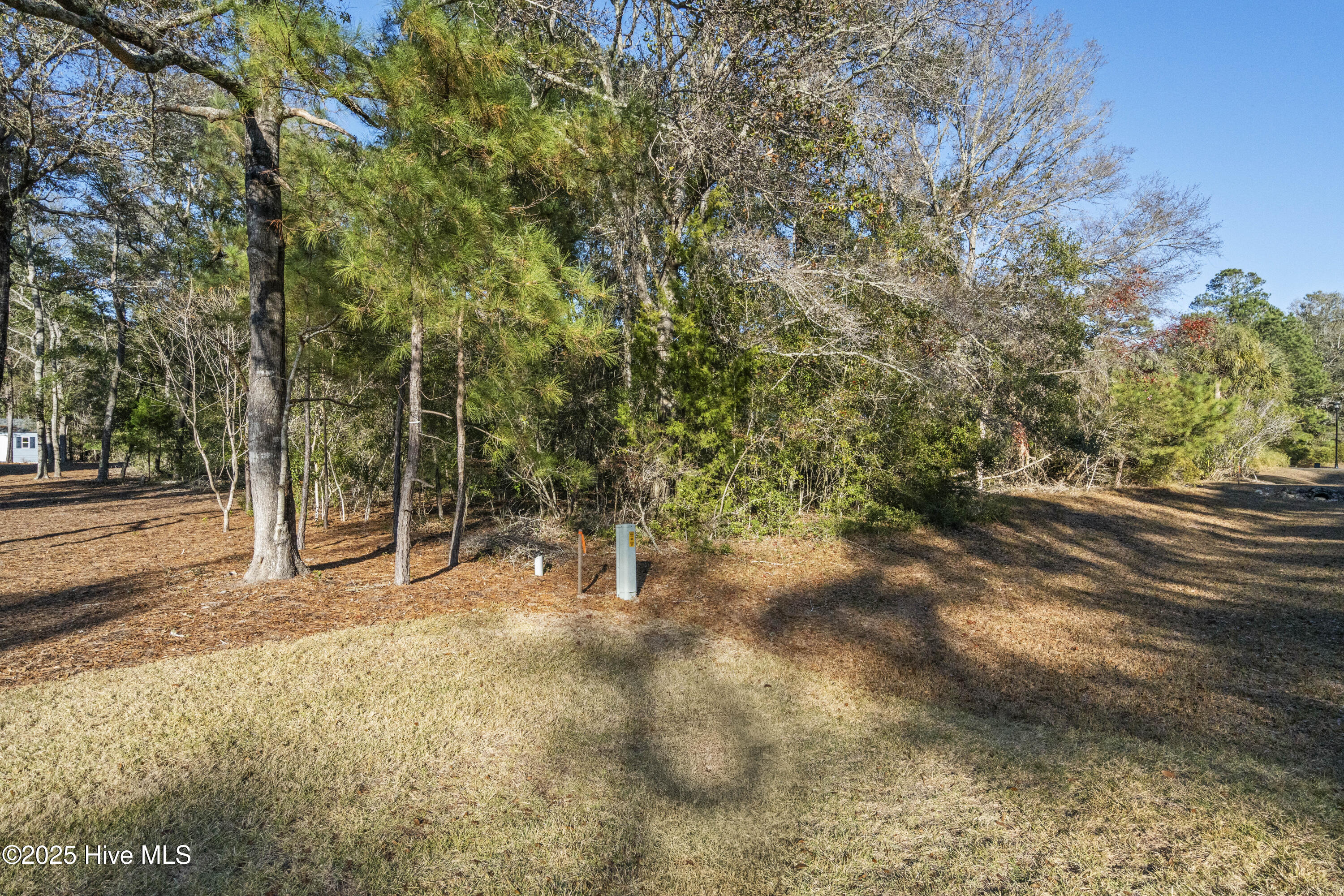 1984 Redfish Run Southwest Supply, NC 28462 - Photo 10 of 34 DSC01689