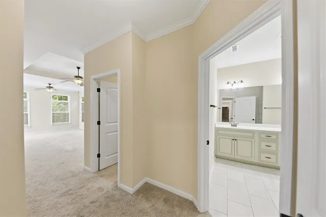 a view of a room with racks on the wall