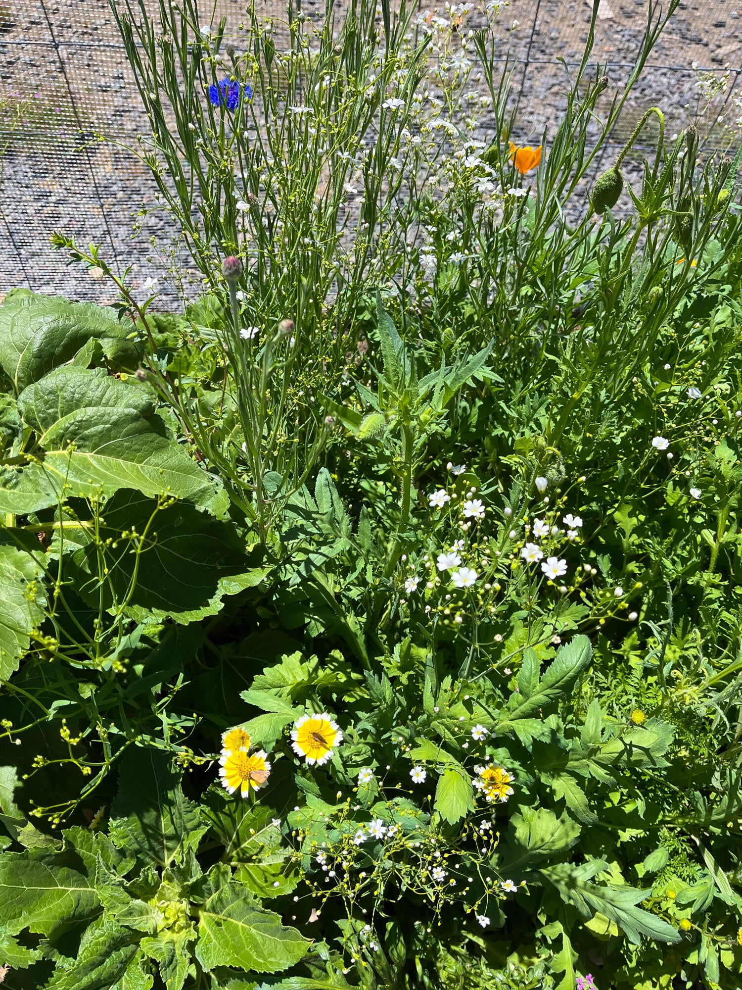 66360 Jericho Road Bend, OR 97703 - Photo 82 of 100 IMG_4023