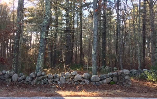 17 Point Road Marion, MA 02738 - Photo 2 of 6 a view of a forest with large trees
