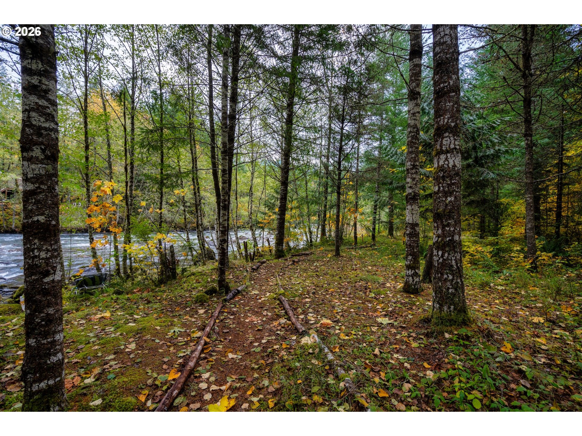 69437 East Vine Maple Drive Rhododendron, OR 97049 - Photo 39 of 47