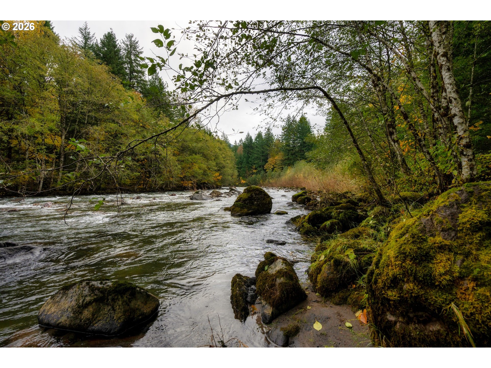 69437 East Vine Maple Drive Rhododendron, OR 97049 - Photo 40 of 47