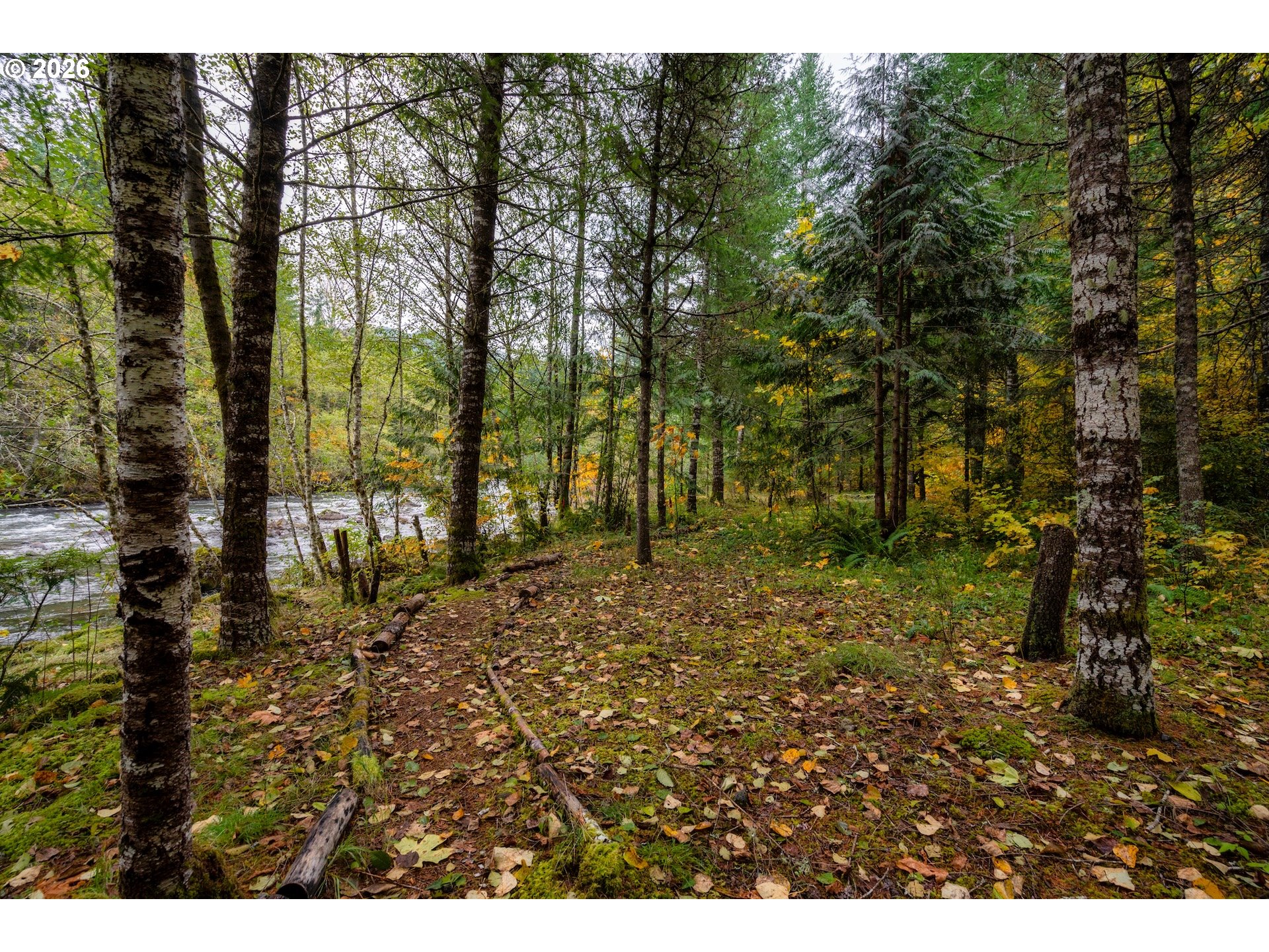 69437 East Vine Maple Drive Rhododendron, OR 97049 - Photo 42 of 47