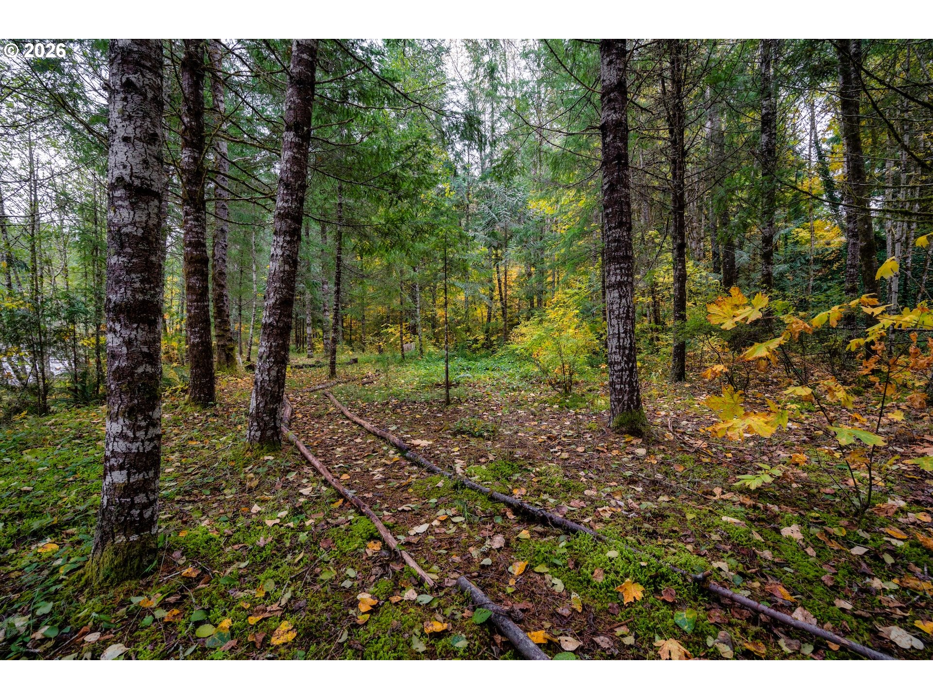 69437 East Vine Maple Drive Rhododendron, OR 97049 - Photo 43 of 47