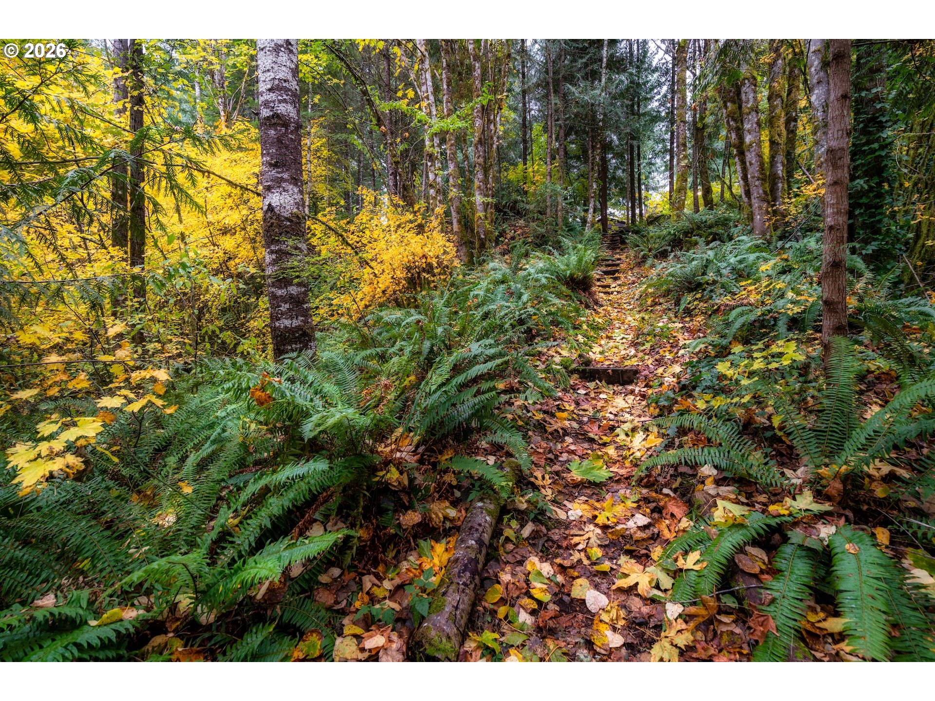 69437 East Vine Maple Drive Rhododendron, OR 97049 - Photo 44 of 47