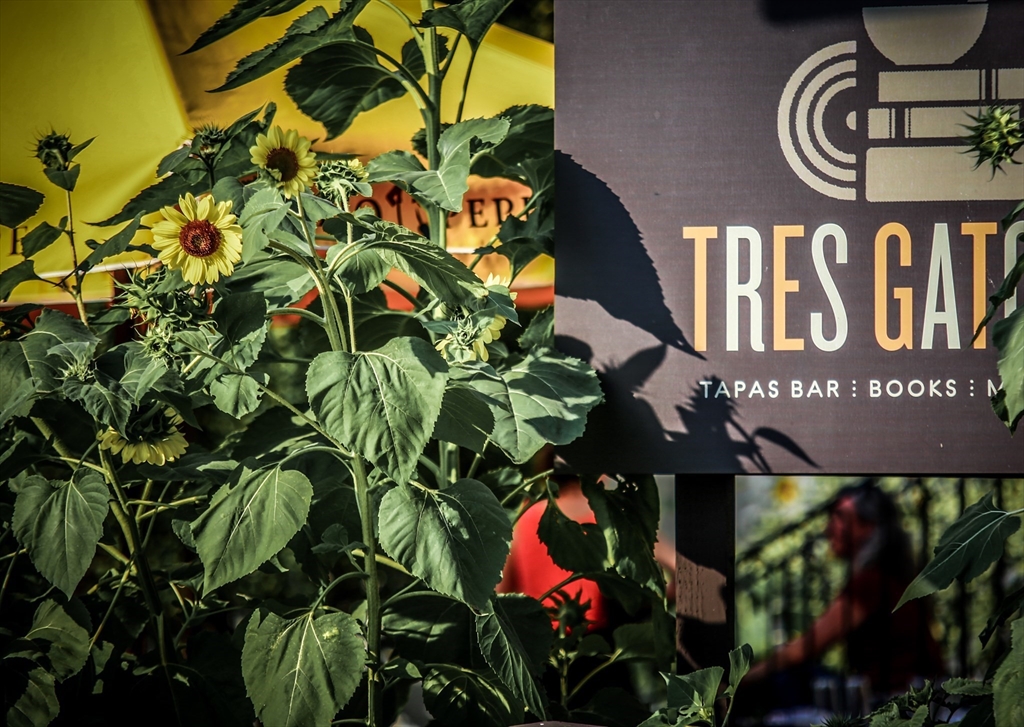 45 Pershing Road Boston, MA 02130 - Photo 25 of 29