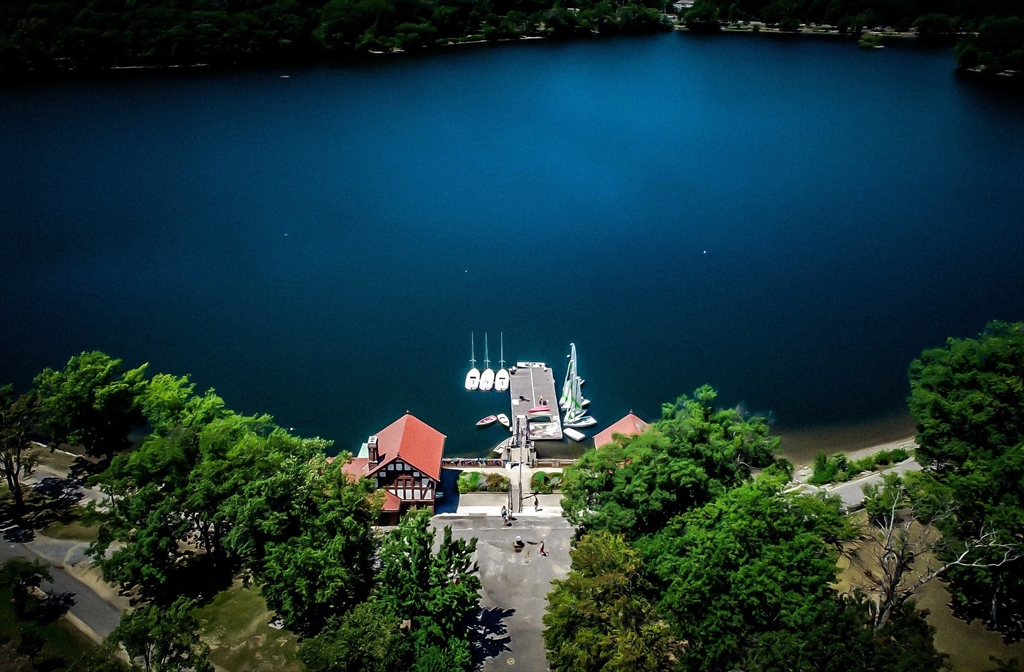 45 Pershing Road Boston, MA 02130 - Photo 27 of 29 a backyard of a house with lots of green space and a garden