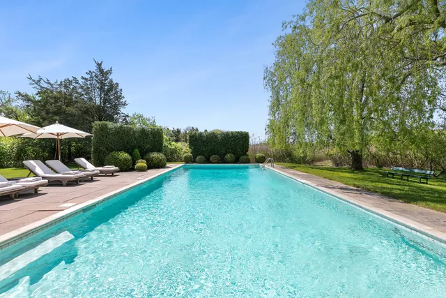 a view of a garden with large trees