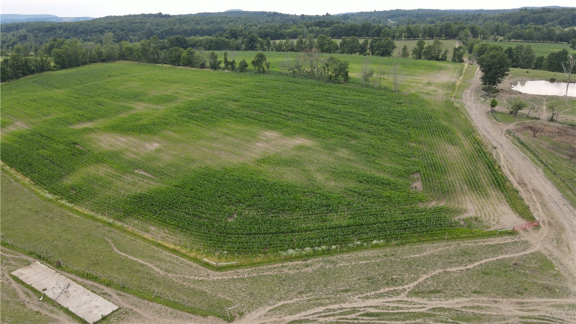 449 Caverns Road Howes Cave, NY 12092 - Photo 19 of 49