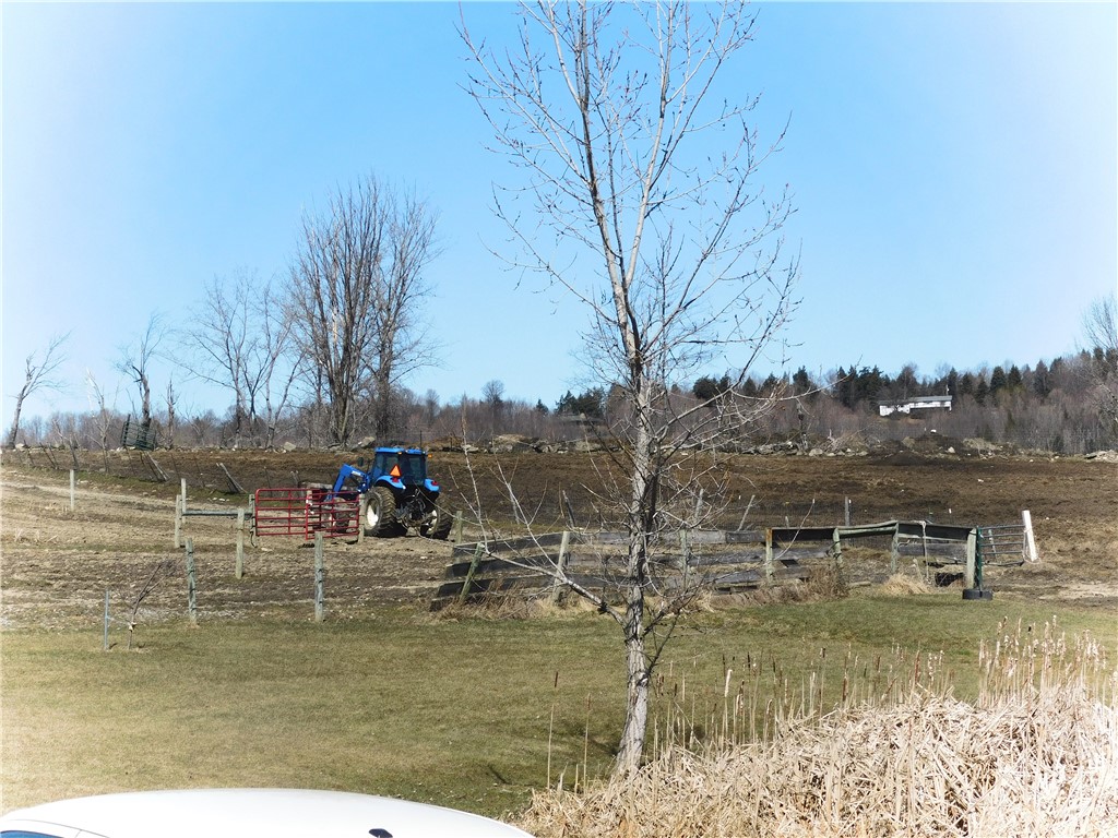 449 Caverns Road Howes Cave, NY 12092 - Photo 2 of 49