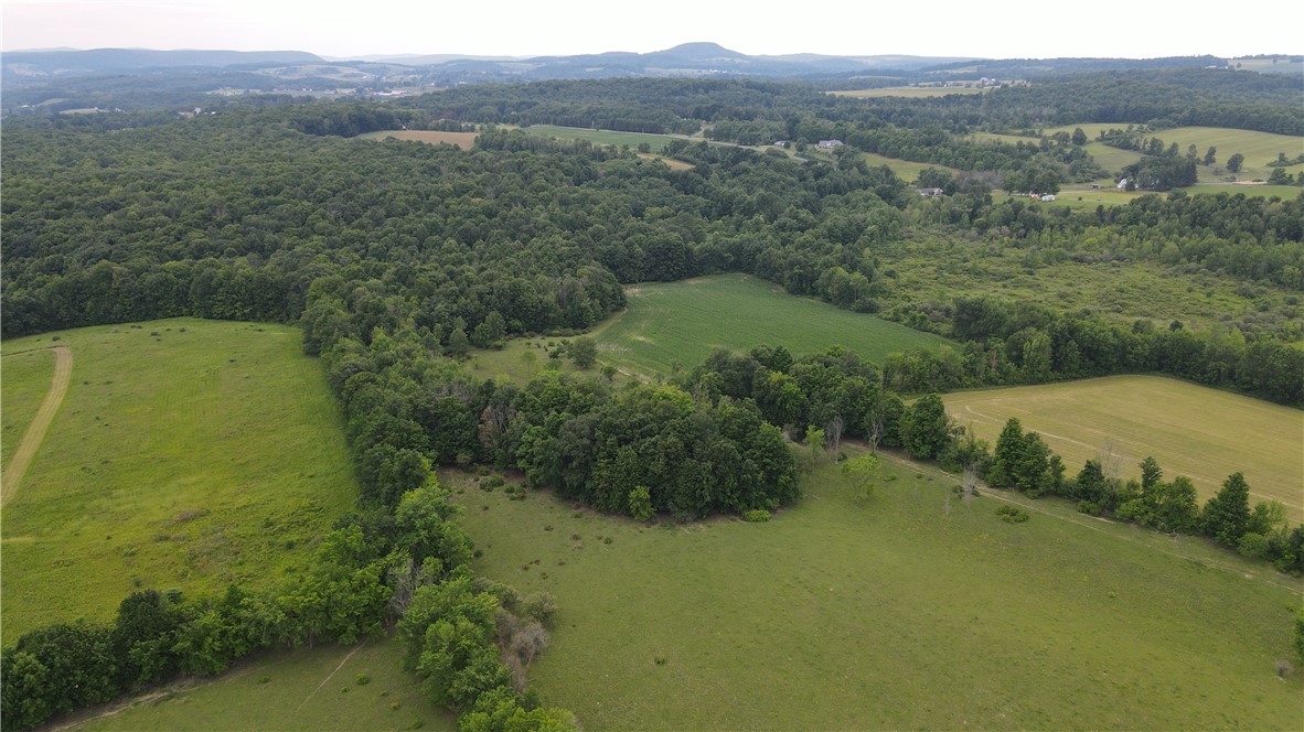 449 Caverns Road Howes Cave, NY 12092 - Photo 23 of 49