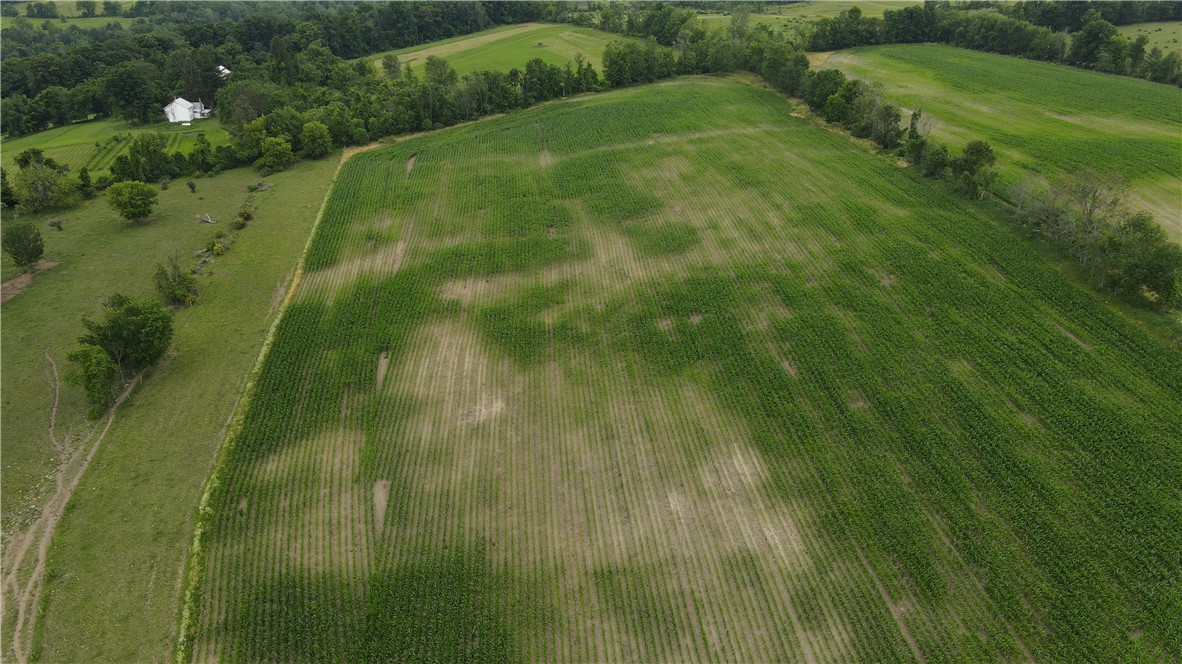 449 Caverns Road Howes Cave, NY 12092 - Photo 30 of 49