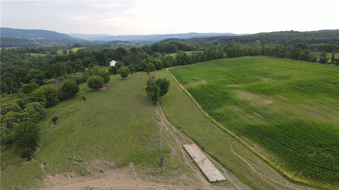 449 Caverns Road Howes Cave, NY 12092 - Photo 47 of 49