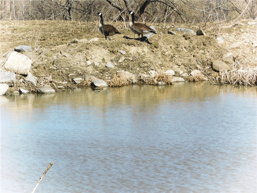 449 Caverns Road Howes Cave, NY 12092 - Photo 5 of 49