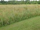 Settle Road Inman, SC 29349 - Photo 2 of 3