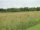 Settle Road Inman, SC 29349 - Photo 3 of 3