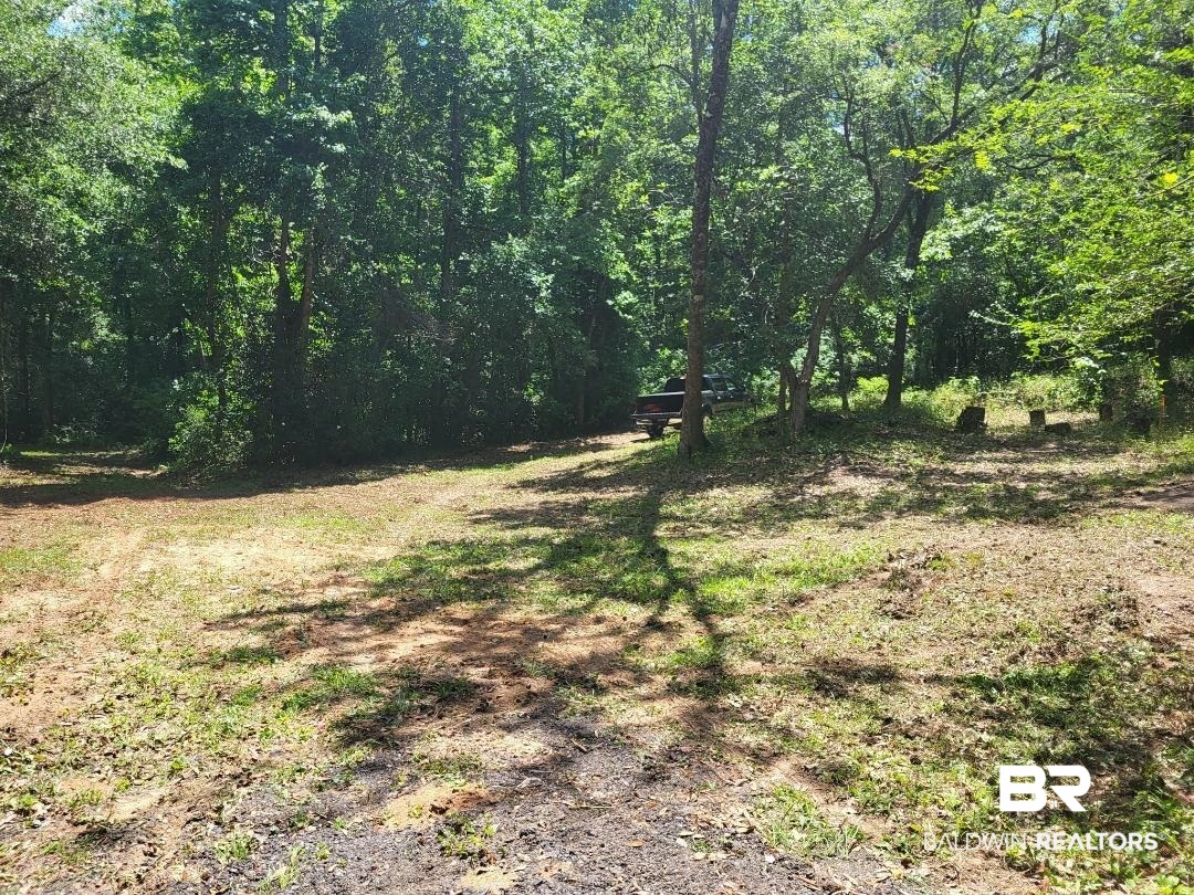 25597 Waterworld Road Robertsdale, AL 36567 - Photo 7 of 14 View of woods