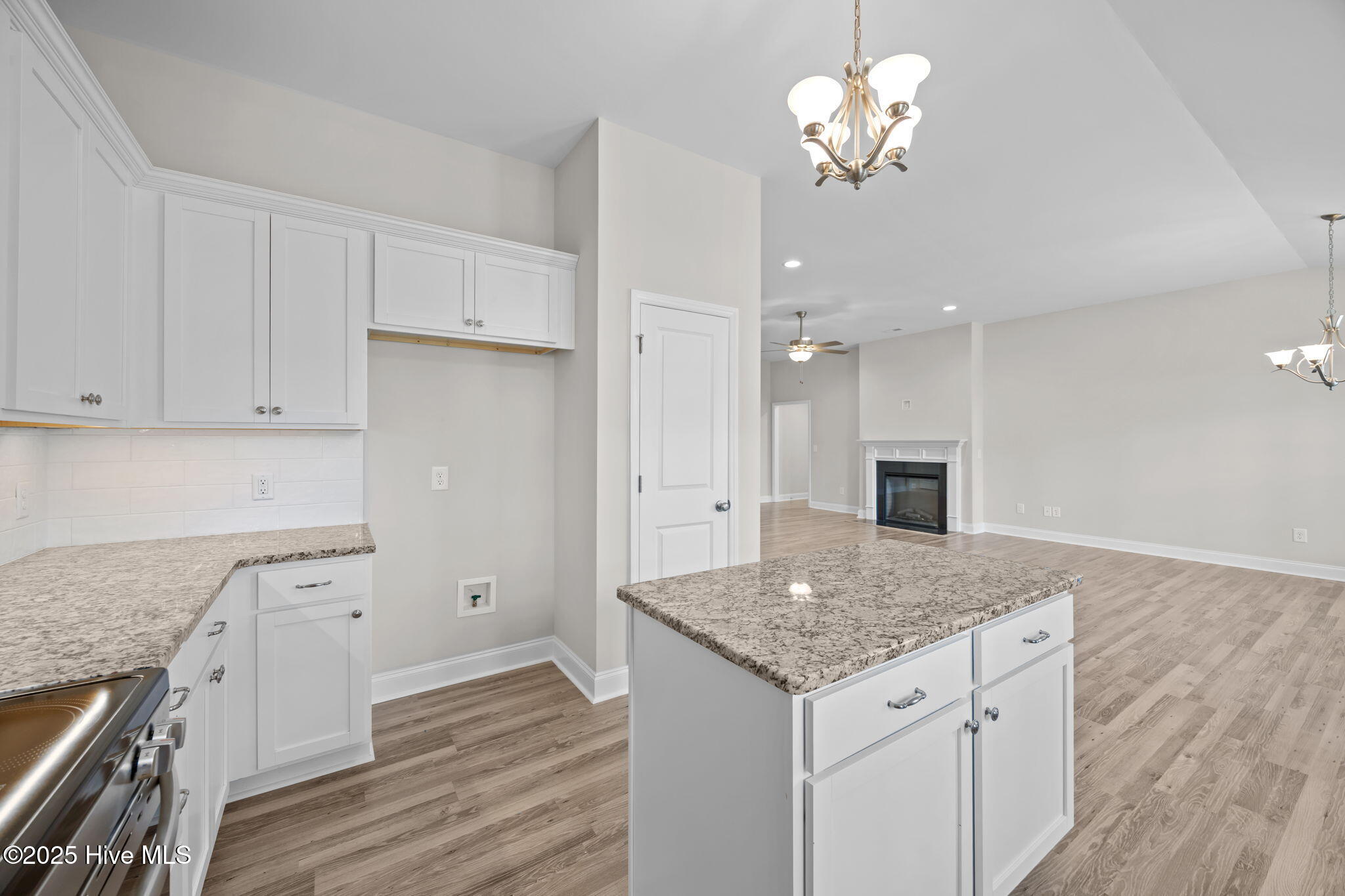 2301 Rhinestone Drive Greenville, NC 27834 - Photo 21 of 43 21-web-or-mls-BLS_0033