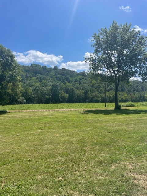 a view of a field with a tree in the background