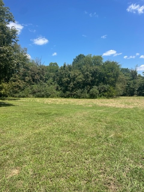 7 Thomas Circle Hickman, TN 38567 - Photo 9 of 10 a view of a field with an ocean