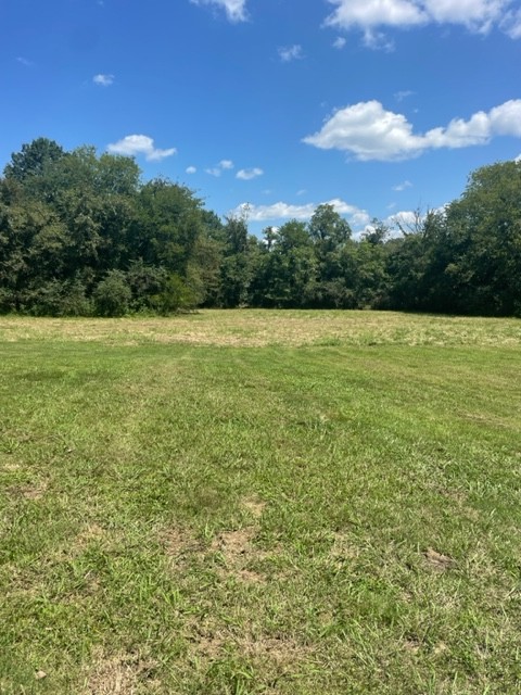 7 Thomas Circle Hickman, TN 38567 - Photo 10 of 10 a view of an ocean from a yard
