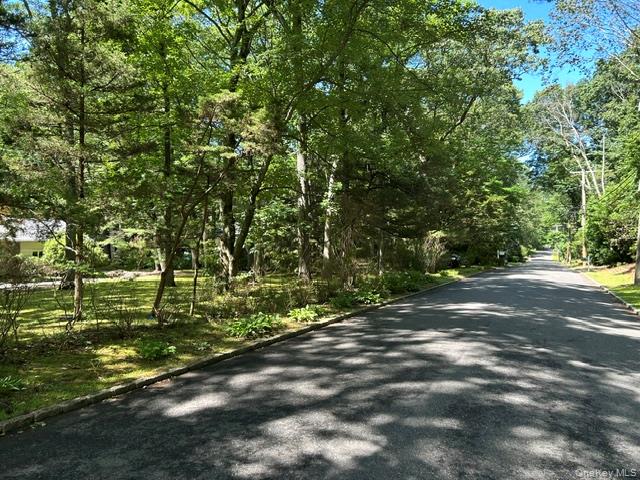 3 Fox Lane Locust Valley, NY 11560 - Photo 7 of 38 Picturesque street view