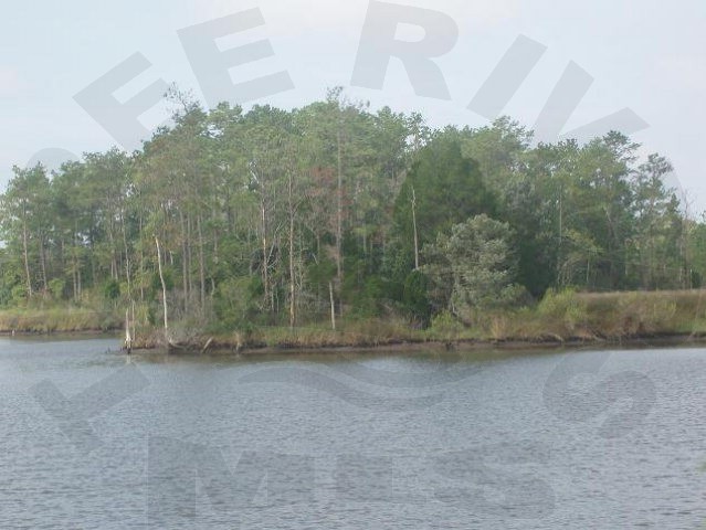 1 Tate Road Belhaven, NC 27810 - Photo 1 of 1 Primary Photo