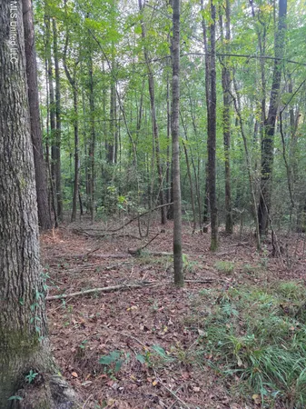 $32,500 | 155 County Road, Stringer, MS 39481