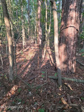 $32,500 | 155 County Road, Stringer, MS 39481