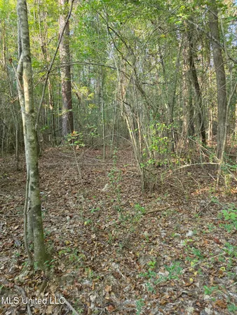 $32,500 | 155 County Road, Stringer, MS 39481